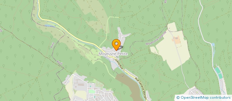 localisation de l'entreprise MADAME SUSAN FOBBESTER  MOYEUVRE-PETITE