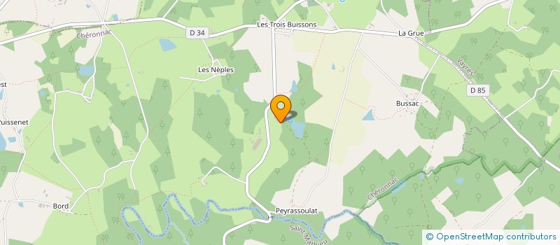 localisation de l'entreprise MADAME SUSAN KRUGER  CHERONNAC