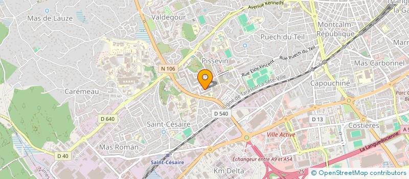 localisation de l'entreprise MADAME SUSANA DIAS RIBEIRO  NIMES