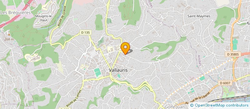 localisation de l'entreprise MADAME SUSANA MIHU  VALLAURIS