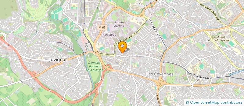 localisation de l'entreprise MADAME SUSANNA GHAZARYAN  CASTELNAU-LE-LEZ