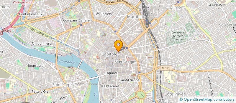 localisation de l'entreprise MADAME SUSANNE WAGENSONNER  TOULOUSE