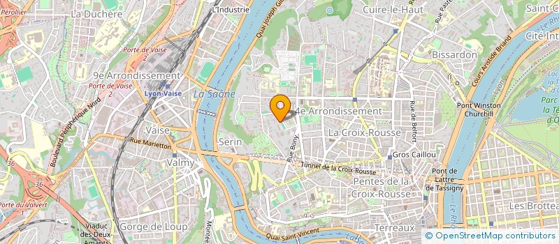 localisation de l'entreprise MADAME SUTTNER QUINTANILLA PACHON  LYON