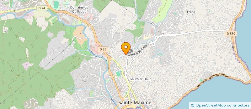 localisation de l'entreprise MADAME SUZANNE DAVIN à SAINTE-MAXIME