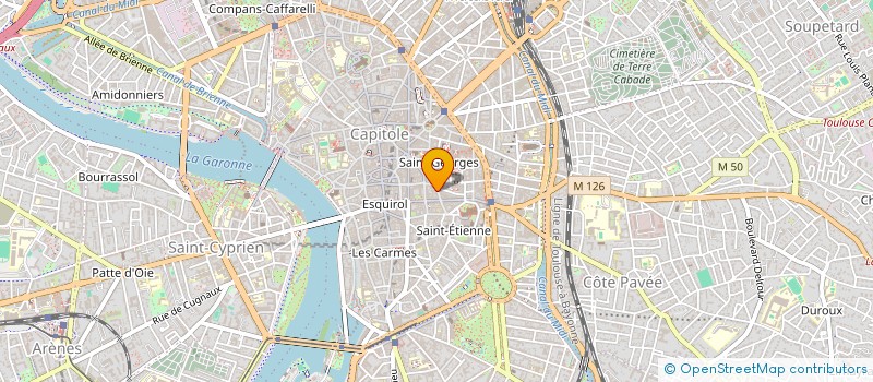 localisation de l'entreprise MADAME SUZANNE DOMENC  TOULOUSE