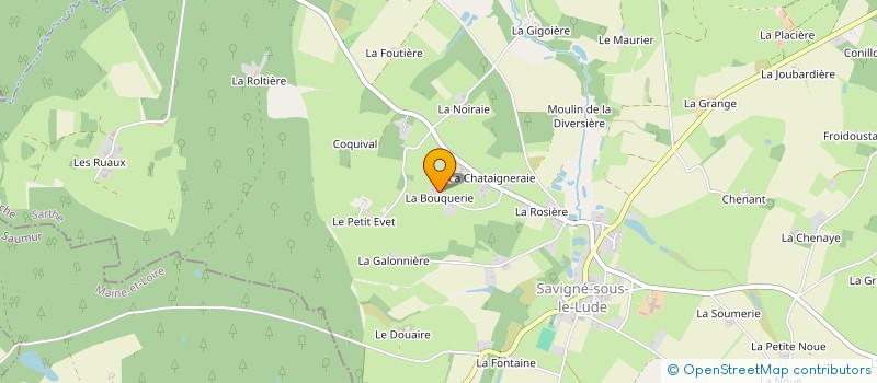 localisation de l'entreprise MADAME SUZANNE GOSSELIN  LE LUDE