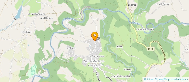 localisation de l'entreprise MADAME SUZANNE HAMMOND  SAINT-MEDARD-EN-FOREZ