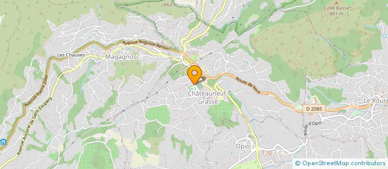 localisation de l'entreprise MADAME SUZANNE HARDWICKE  CHATEAUNEUF-GRASSE