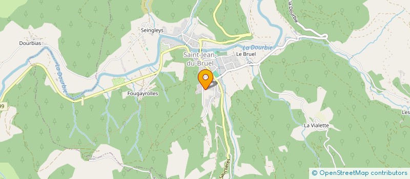 localisation de l'entreprise MADAME SUZANNE LAURENS  SAINT-JEAN-DU-BRUEL