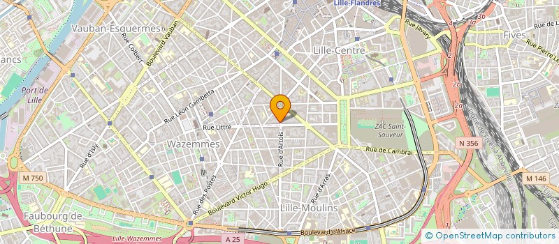 localisation de l'entreprise MADAME SUZANNE MANES à LILLE