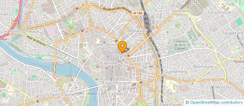 localisation de l'entreprise MADAME SUZANNE PELLEFIGUE à TOULOUSE