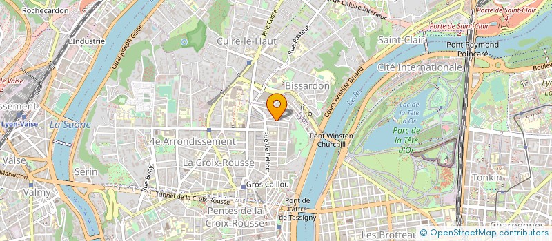 localisation de l'entreprise MADAME SUZANNE THORAL VALLINS  LYON