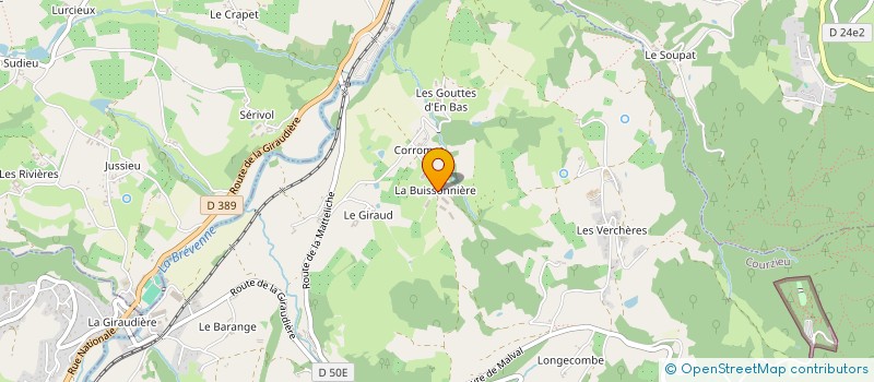 localisation de l'entreprise MADAME SUZY-ODILE PINARD  COURZIEU