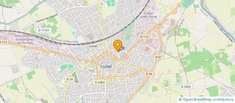 localisation de l'entreprise MADAME SUZY PALOMARES  LUNEL