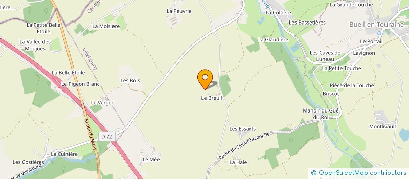localisation de l'entreprise MADAME SVETLANA CHEREMUKHINA à SAINT-PATERNE-RACAN