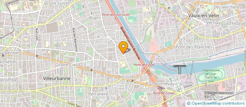 localisation de l'entreprise MADAME SVETLANA PANFILOVA  VILLEURBANNE