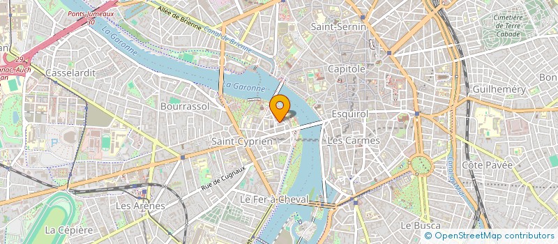 localisation de l'entreprise MADAME SVETLANA PEPELYAEVA à TOULOUSE
