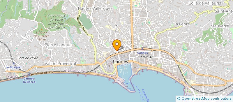 localisation de l'entreprise MADAME SVETLANA VALBERGA à CANNES