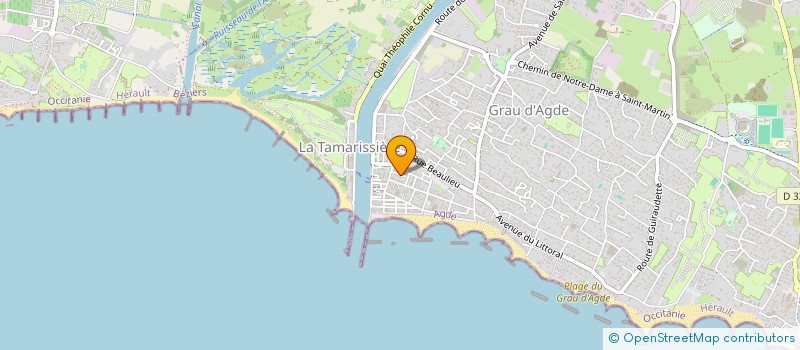 localisation de l'entreprise MADAME SYLVAINE RICARD  AGDE