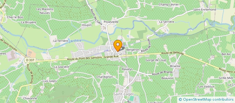 localisation de l'entreprise MADAME SYLVANA ELUECQUE  BELLEVILLE-EN-BEAUJOLAIS