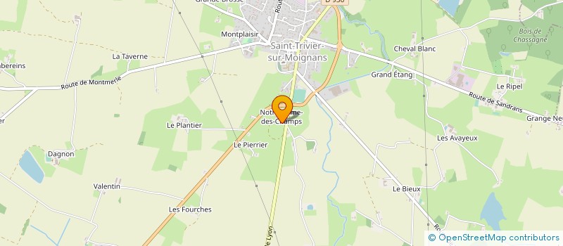 localisation de l'entreprise MADAME SYLVETTE CHEMARIN à SAINT-TRIVIER-SUR-MOIGNANS