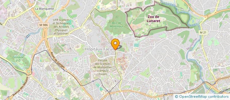 localisation de l'entreprise MADAME SYLVETTE GROUSSET à MONTPELLIER