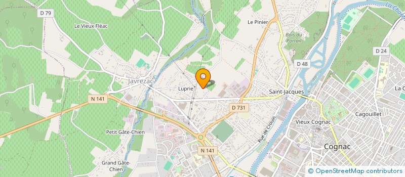 localisation de l'entreprise MADAME SYLVIA ANNE CHRISTEL AYRAL à COGNAC