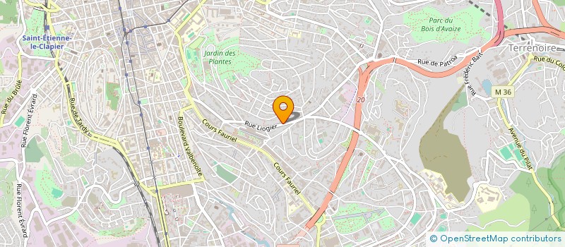 localisation de l'entreprise MADAME SYLVIA COX  SAINT-ETIENNE