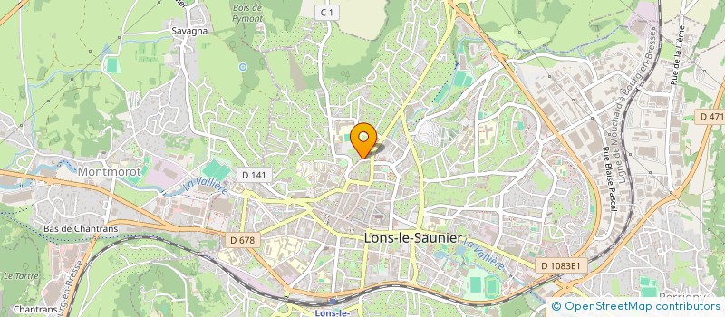 localisation de l'entreprise MADAME SYLVIA KOEFFER  LONS-LE-SAUNIER