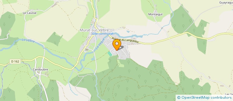 localisation de l'entreprise MADAME SYLVIA LEON  MURAT-SUR-VEBRE