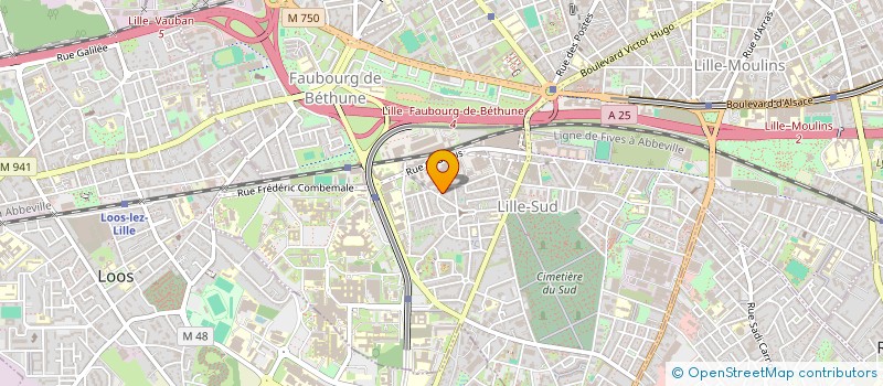 localisation de l'entreprise MADAME SYLVIA LUSSO à LILLE