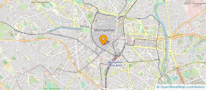 localisation de l'entreprise MADAME SYLVIA PARROT à MONTPELLIER