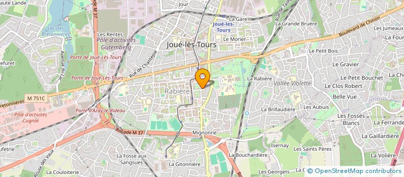 localisation de l'entreprise MADAME SYLVIA RADJOUKI  JOUE-LES-TOURS