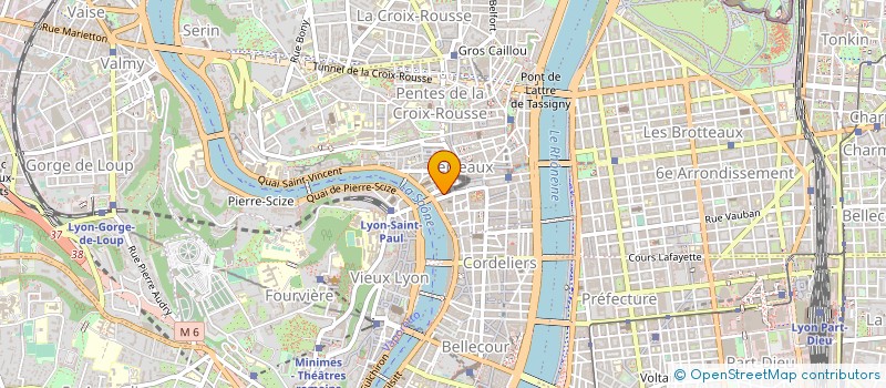 localisation de l'entreprise MADAME SYLVIA SILBERMAN à LYON