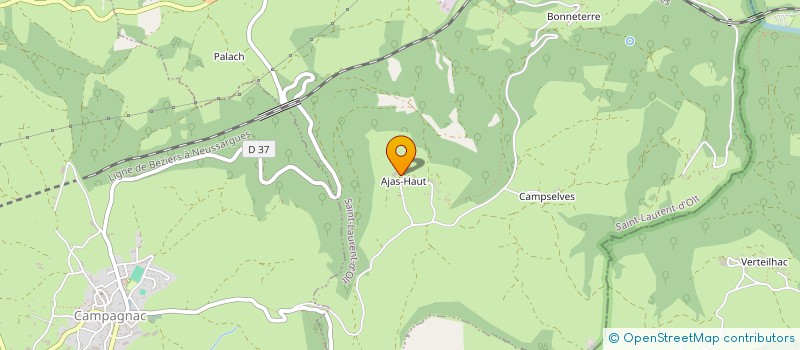 localisation de l'entreprise MADAME SYLVIA TOYOS  SAINT-LAURENT-D'OLT