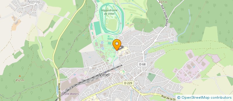 localisation de l'entreprise MADAME SYLVIANE BEZY  VITTEL