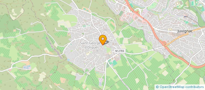 localisation de l'entreprise MADAME SYLVIANE DIAS OLIBA  SAINT GEORGES D'ORQUES