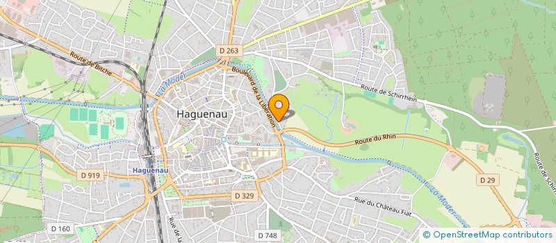 localisation de l'entreprise MADAME SYLVIANE MAES  HAGUENAU