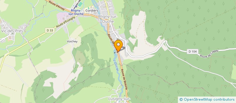 localisation de l'entreprise MADAME SYLVIANE MAGNIN  BLIGNY-SUR-OUCHE