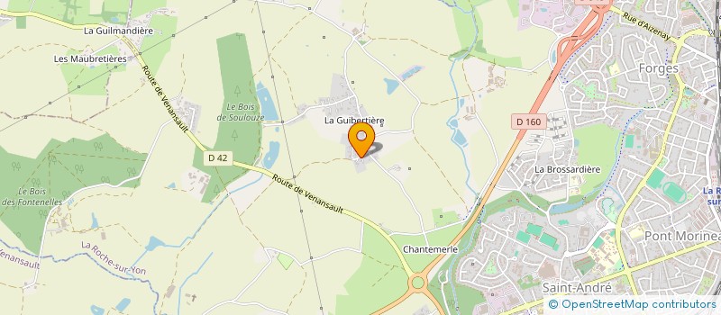 localisation de l'entreprise MADAME SYLVIANE PASQUEREAU à ROCHE SUR YON (LA)