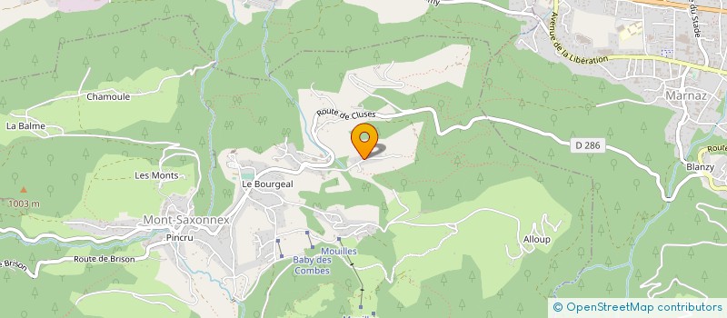 localisation de l'entreprise MADAME SYLVIANE PELLIER-CUIT  MONT-SAXONNEX