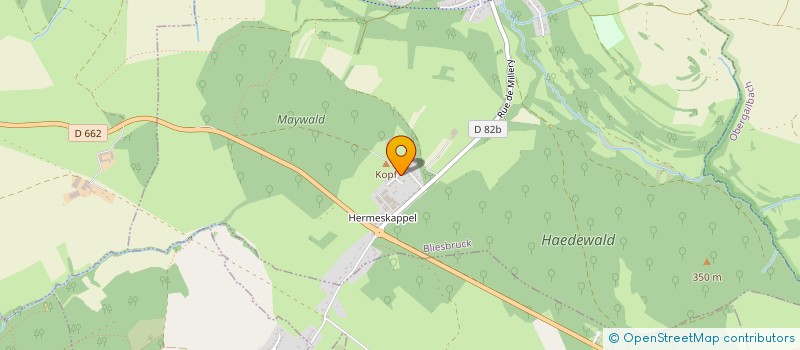 localisation de l'entreprise MADAME SYLVIANE SAIRE  BLIESBRUCK