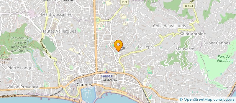 localisation de l'entreprise MADAME SYLVIANE VOGT à CANNES