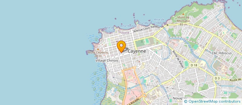 localisation de l'entreprise MADAME SYLVIANE ZEDOUARD à CAYENNE