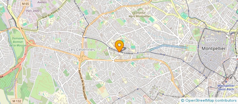 localisation de l'entreprise MADAME SYLVIE ACCARD à MONTPELLIER