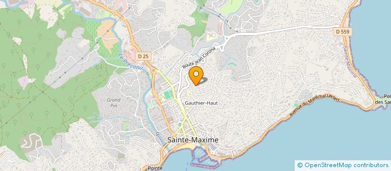 localisation de l'entreprise MADAME SYLVIE BARBIE à SAINTE-MAXIME