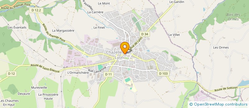 localisation de l'entreprise MADAME SYLVIE BARES à CHAZELLES-SUR-LYON
