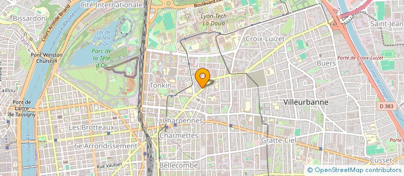 localisation de l'entreprise MADAME SYLVIE BARRAUD  VILLEURBANNE