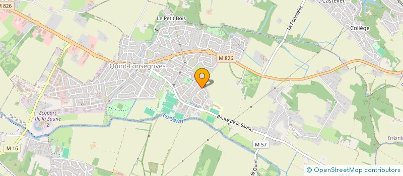 localisation de l'entreprise MADAME SYLVIE BELLARD  QUINT-FONSEGRIVES