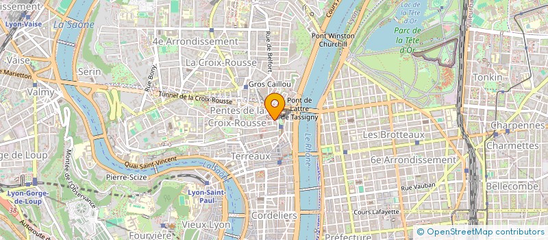 localisation de l'entreprise MADAME SYLVIE BERTHELOT à LYON